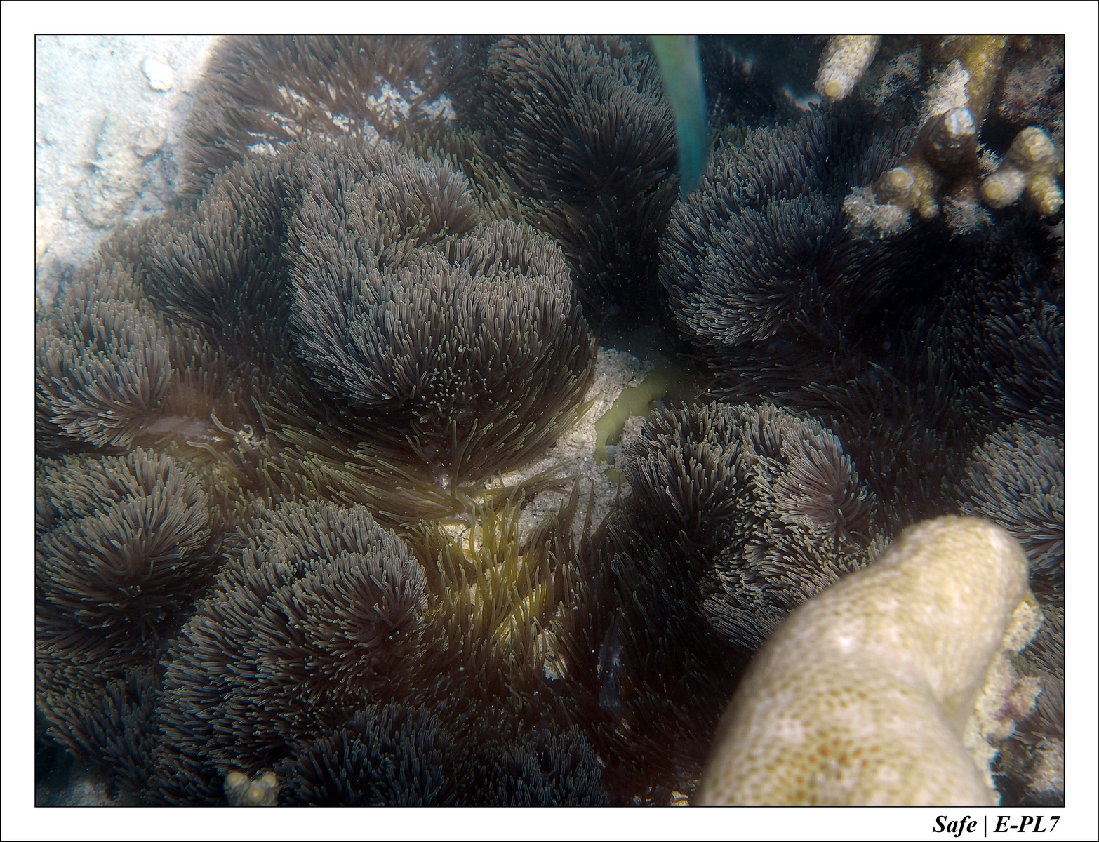 2018 - 08 - Pulau Besar - 14